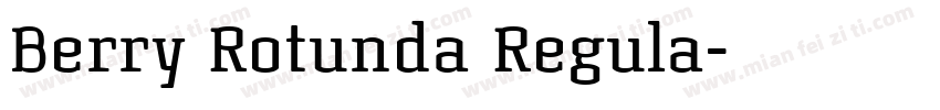 Berry Rotunda Regula字体转换